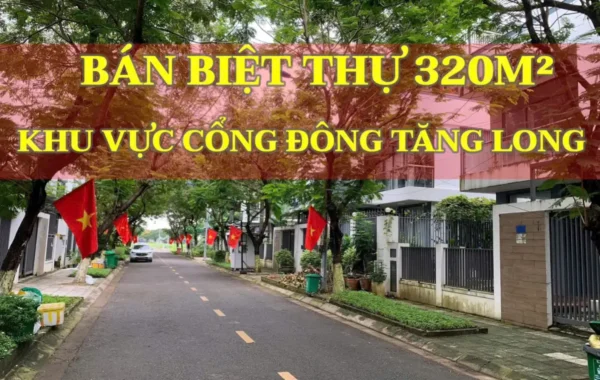 Biệt Thự Khu Thủ Thiêm 10x32m Đường Nội Bộ 12m Dự Án Đông Tăng Long